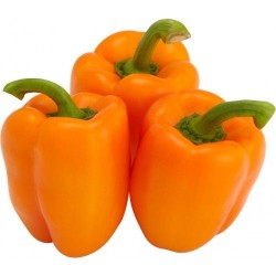 Chile morron naranja