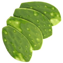 Nopal entero